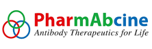 PharmAbcine: Pioneering in Antibody Therapeutics Development